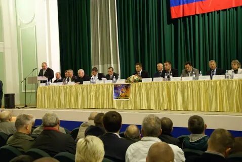 Избранный парламент