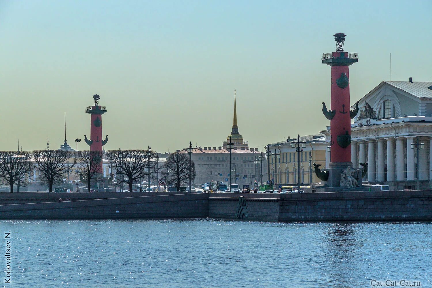 Вода васильевский остров. Ростральные колонны Петропавловская крепость. Стрелка Васильевского острова Санкт-Петербург. Набережная стрелки Васильевского острова.