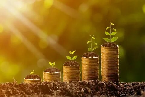 Business profits