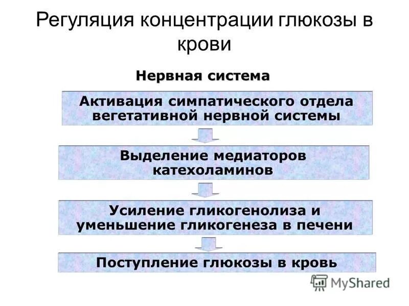 Как происходит регуляция содержания глюкозы. Регуляция уровня глюкозы гормоны надпочечников. Регуляция содержания глюкозы в крови. Концентрация глюкозы. Контринсулиновые гормоны.