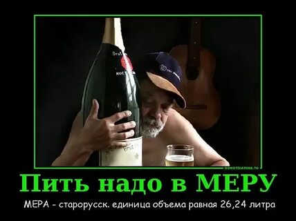 Как научиться пить в меру