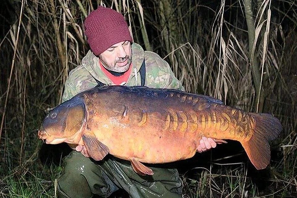 полесск река дейма. река большой караман. река дейма калининградская. самая крупная пресноводная в калининградской обл. самая крупная пресноводная в калининградской обл.