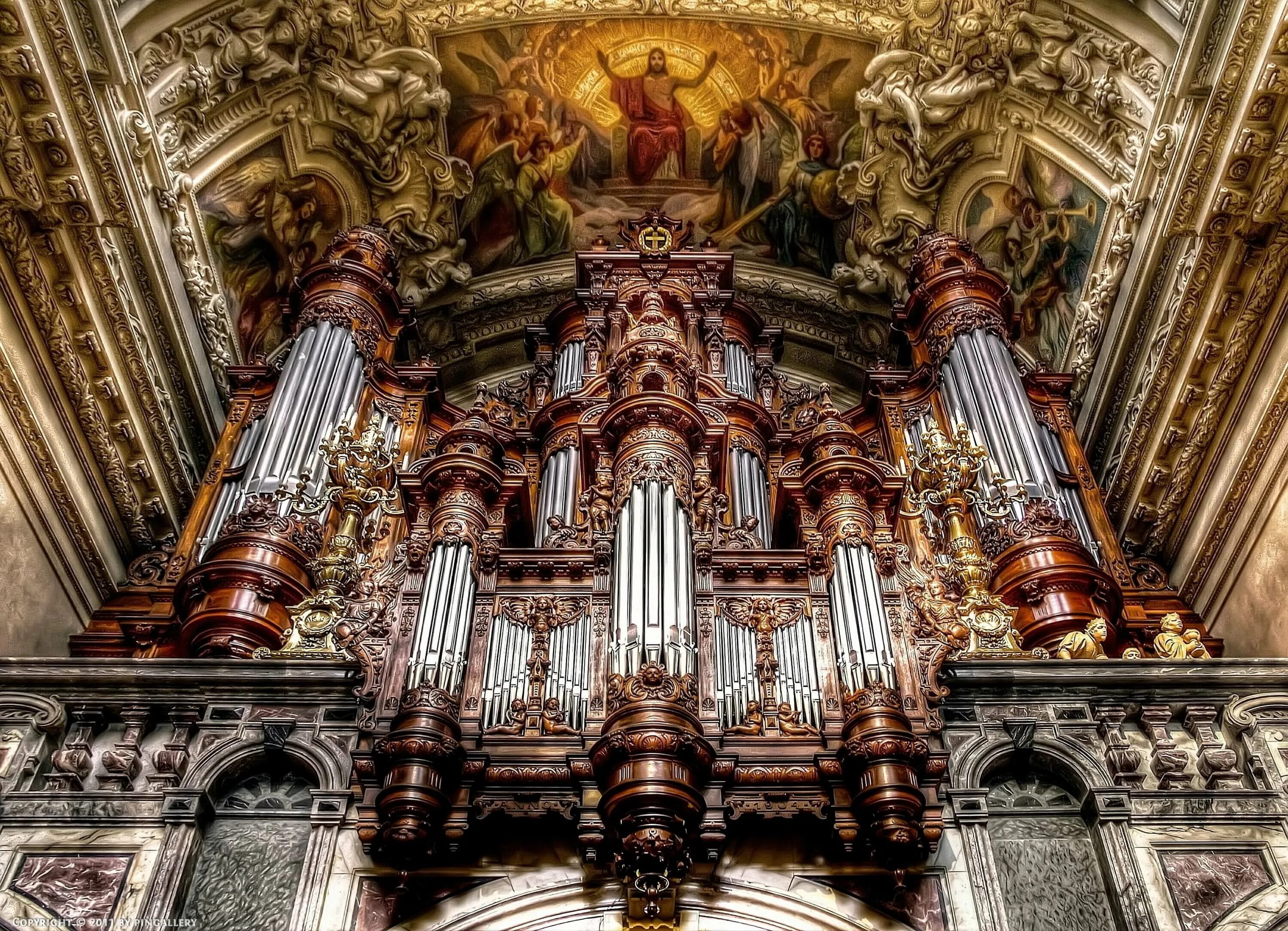 Фото красивых органов