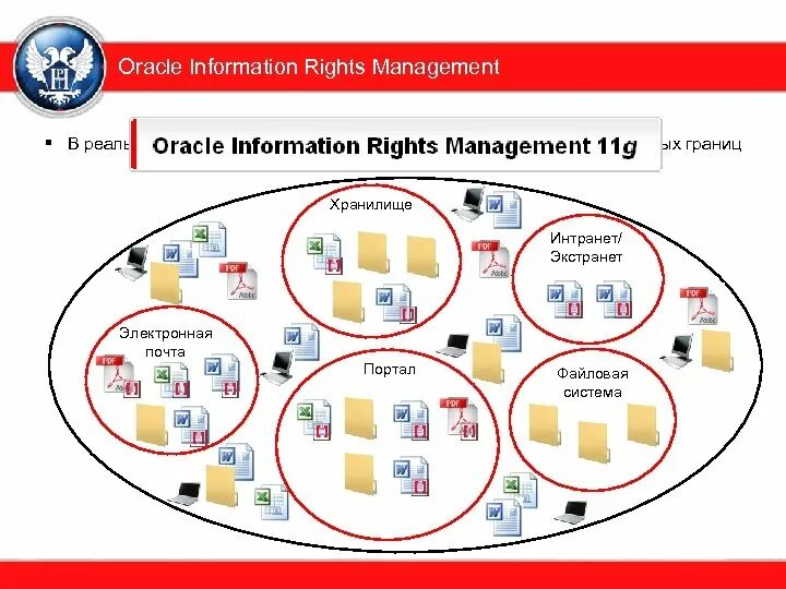 IRM технологии. Продукты Оракл. Использование Oracle. IRM ARCHIVEDOC. Rights management