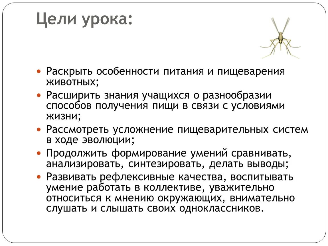 Особенности питания животных. Животные по способу получения пищи. Примеры получения пищи животными. Назовите способы получения пищи животными.