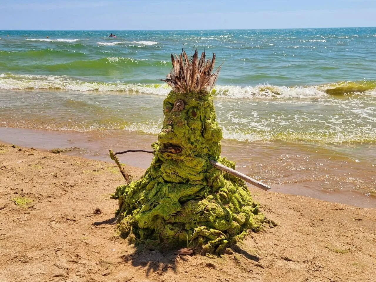 Водоросли в анапе. Цветение водорослей в Анапе. Цветение водорослей в Анапе период. Анапа водоросли на пляже.