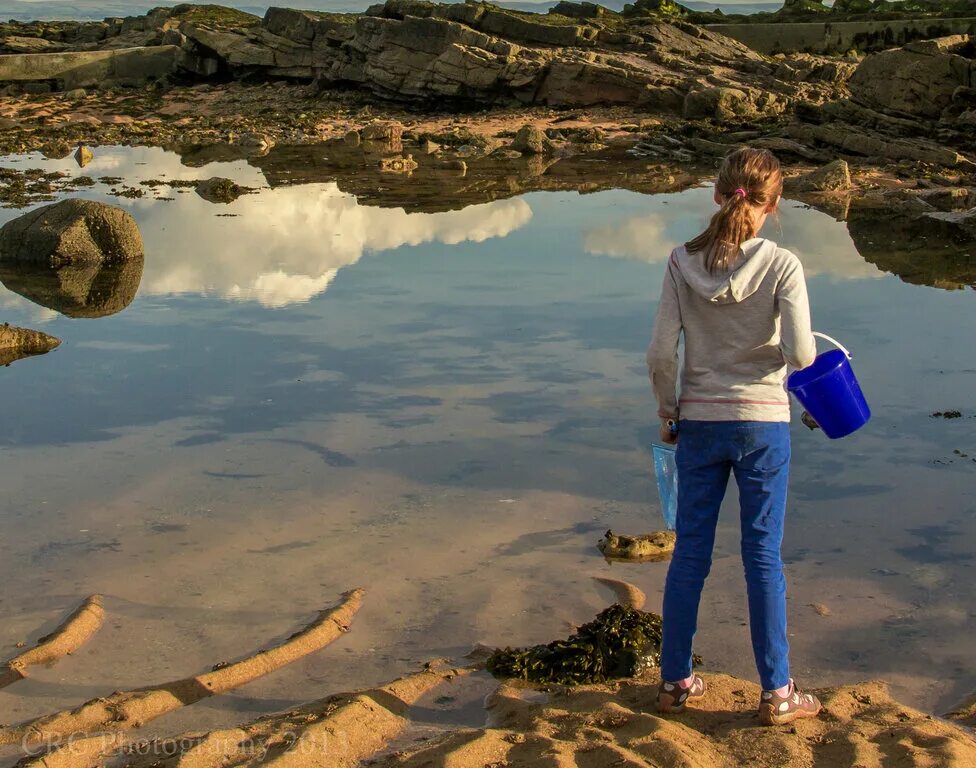 К чему сниться приезд. Man Bucket of Water.