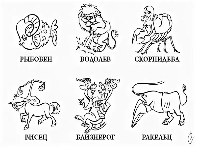 любимые позы знаков зодиака. знаки зодиака. асаны сурья намаскар. интересный гороскоп. позы по знаку зодиака.