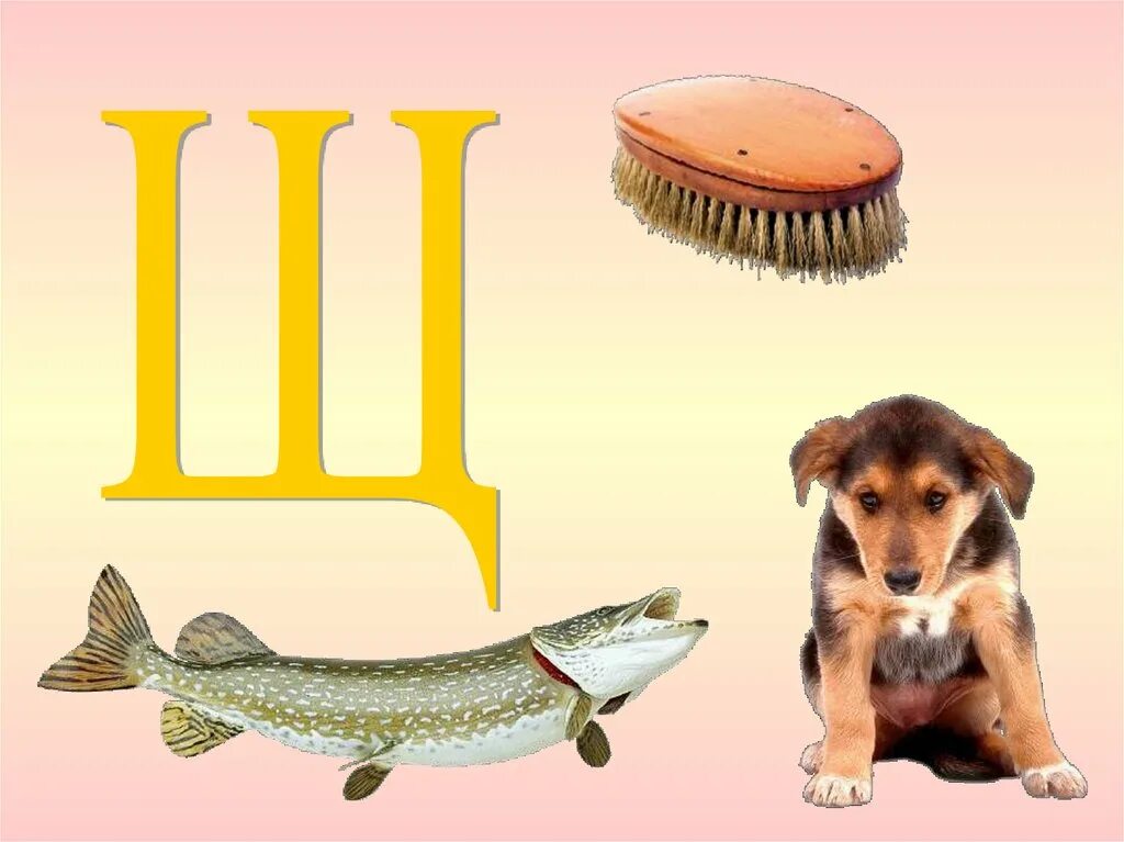 Щ й ю