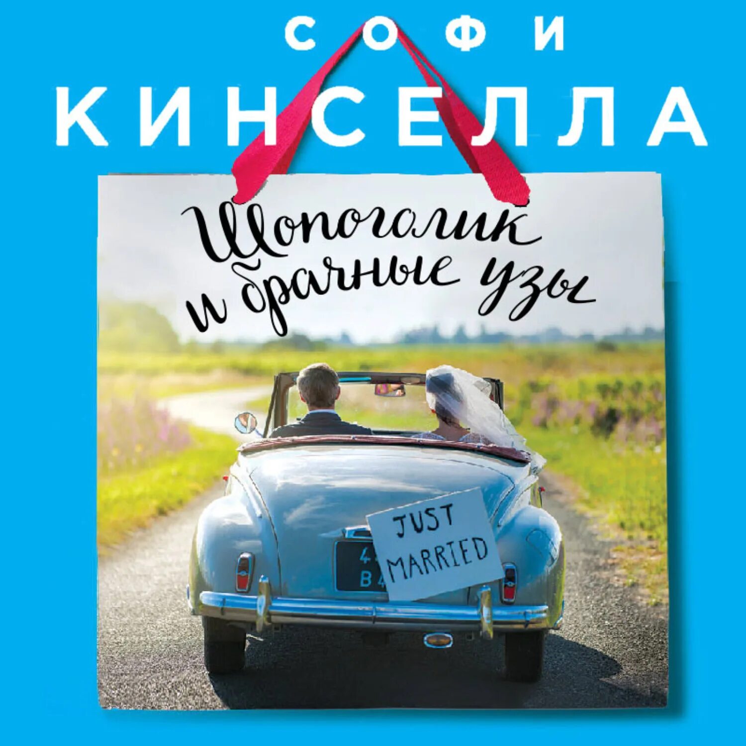 Шопоголик и брачные узы. Кинселла с. "день шалостей". Кинселла с. "я - твой должник".