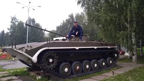 Кедр верхняя салда