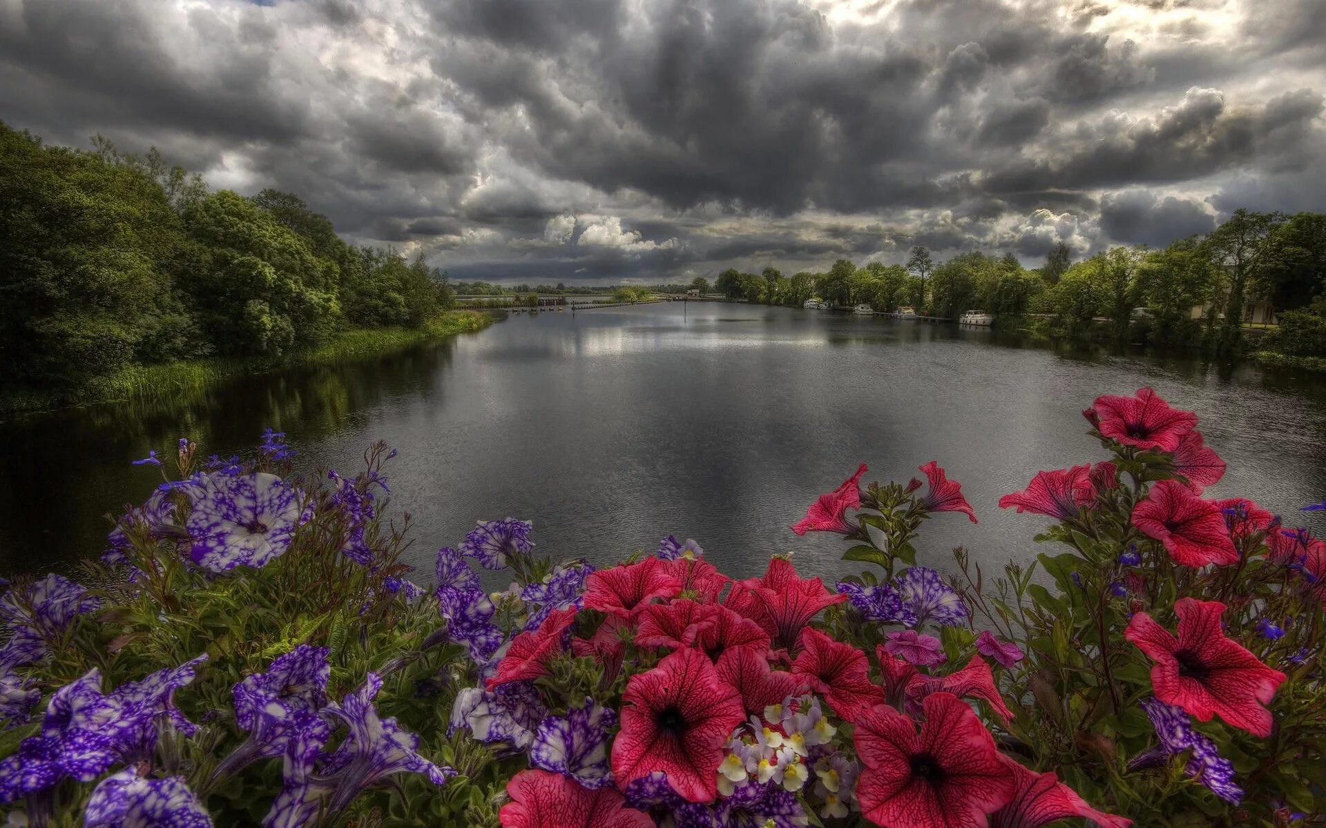 Природа цветы. Красивая природа река. Природа озеро цветы. Красивые пейзажи с цветами.