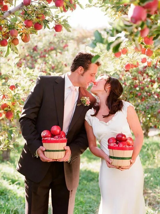 Пара яблонь. Свадебная фотосессия с яблоками. Свадьба в яблочном стиле. Фотосессия с яблоками в саду. Фотосессия в яблоневом саду.