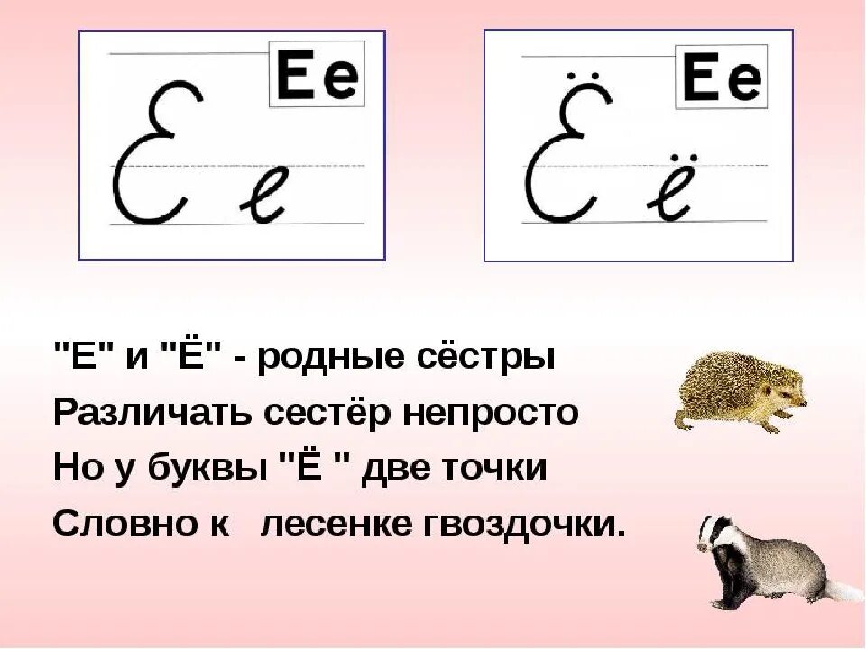 Впиши буквы е или и. Звук и буква е задания для дошкольников. Звук и буква е задания для 1 класса. Буква е и ё. Буква е 1 класс.