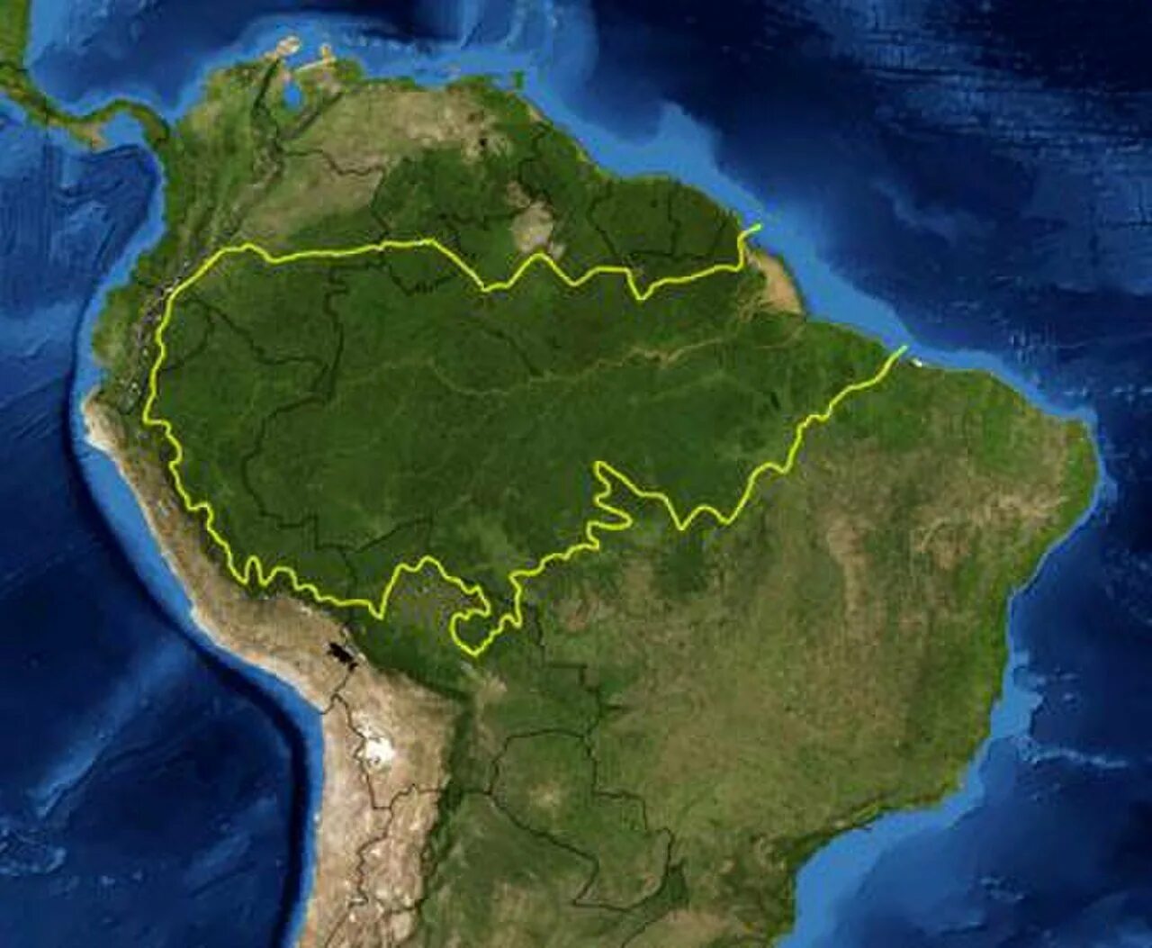Южная Америка Амазонская низменность. Бразилия Амазонская низменность. Амазонская низменность на карте Южной Америки. Бассейн реки Амазонка.