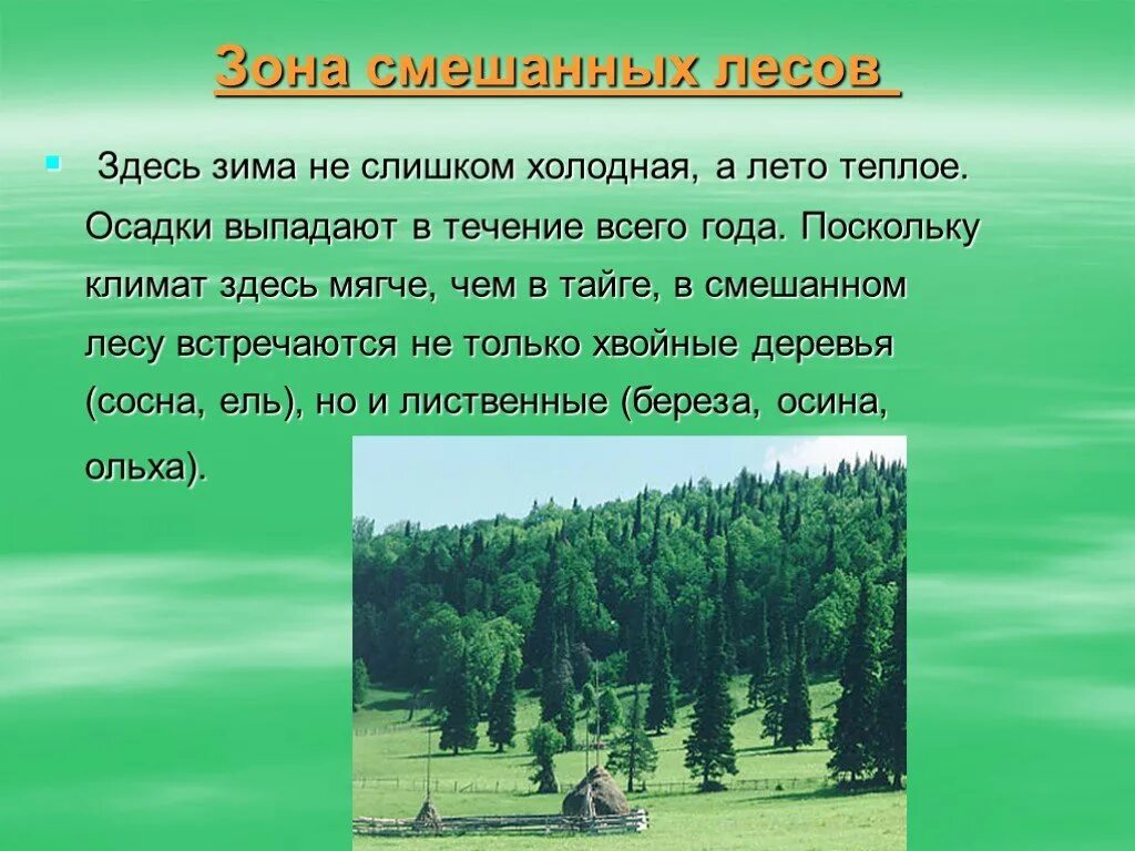 Климат лиственных лесов умеренных поясов. Смешанные леса природная зона. Зона тайги и смешанных лесов. Леса презентация 4 класс. Зона лесов презентация 4 класс.