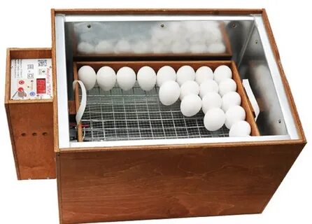 Инкубатор для яиц автоматический от производителя