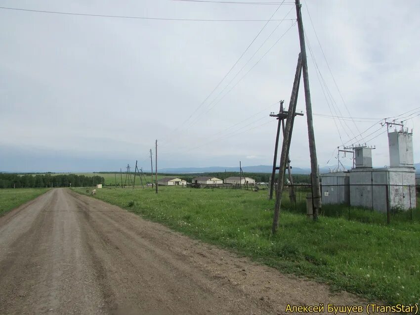 Д Ивановка Партизанский район Красноярский край. Деревня Ивановка Красноярский край Партизанский район. Красноярский край Партизанский район деревня Новопокровка. С Стойба Красноярский край Партизанский район. Погода в партизанском районе село партизанское