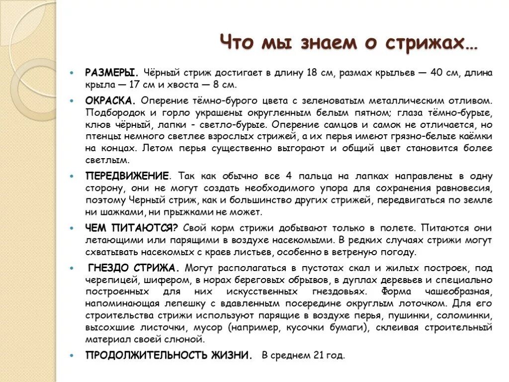 Информация о стрижах для 4. Сообщение о Стрижах 4 класс литературное чтение. Сообщение о Стрижах. Доклад-сообщение о Стрижах. Сообщение о Стрижах информация в.