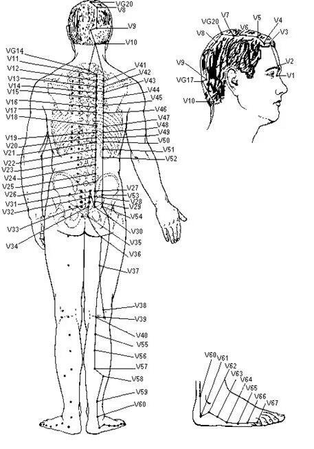 точка акупунктуры v19. чудесные меридианы человека. мэй чун точка акупунктуры. акупунктура меридиан мочевого пузыря. меридиан мочевого пузыря активные точки.
