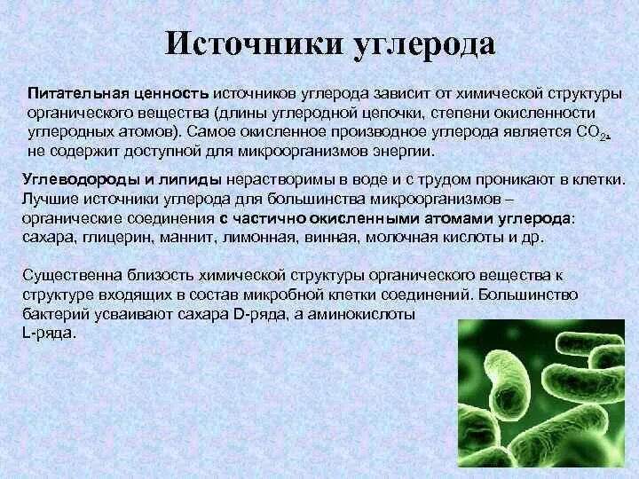 Источники энергии бактерий. Источники углерода для микроорганизмов. Источник углерода для бактерий. Источники углерода в питательных средах. Спорообразование у бактерий.