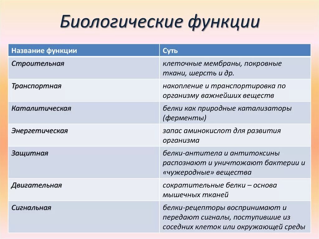 Функции класса называются. Функции белков биология 8 класс и примеры. Функции белков биология 8 класс. Функции в биологии. Какие бывают функции в биологии.