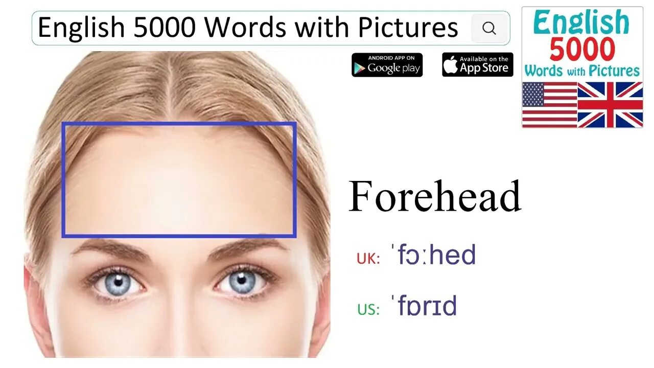 Лоб на английском языке. Forehead произношение. 5000 Words English. Карточки на лоб.