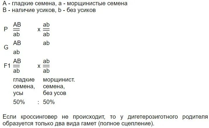 При скрещивании растений гороха с гладкими семенами и усиками. Дигетерозиготные растения. Дигетерозиготного растения гороха. Дигетерозиготные организмы.