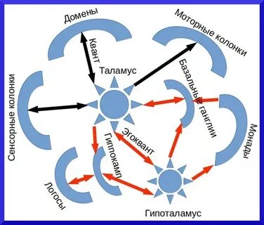 Квантовая психология что