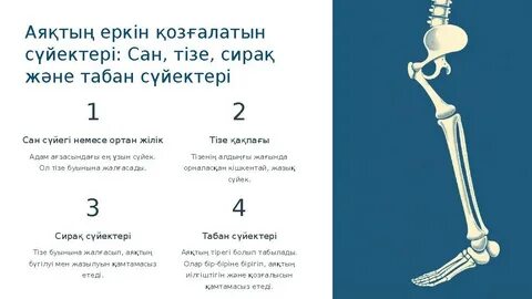 Русское порно жетілген тазалау ханым мен жігіт