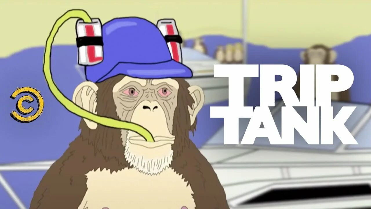 Stoned monkey