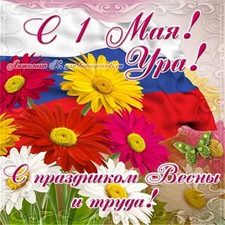 Май поздравления