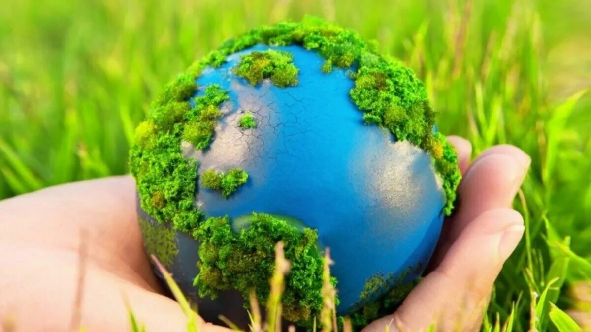 Зеленая земля что делать. Защита природы. Природа экология. Природа земли. Охрана окружающей среды.