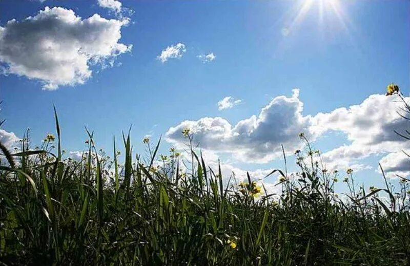 Солнечный летний день. Жаркий Солнечный день. Солнечная погода. Солнечный день фото. На дальнем поле звонко