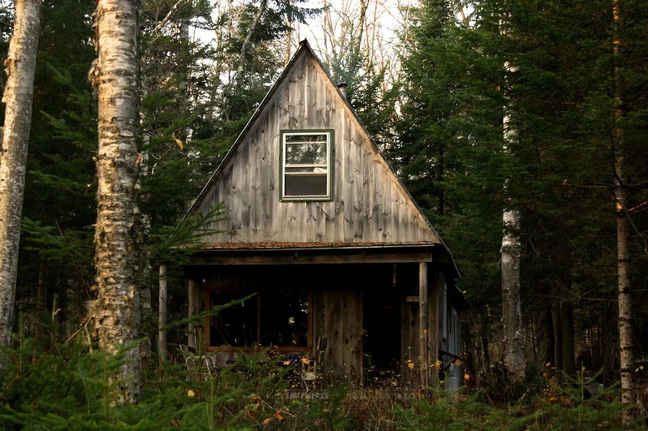 Forest house хижина в лесу. Хижина гномов, британская колумбия. Хибара халупа. Хижина унабомбера. Лесной шалаш старая.