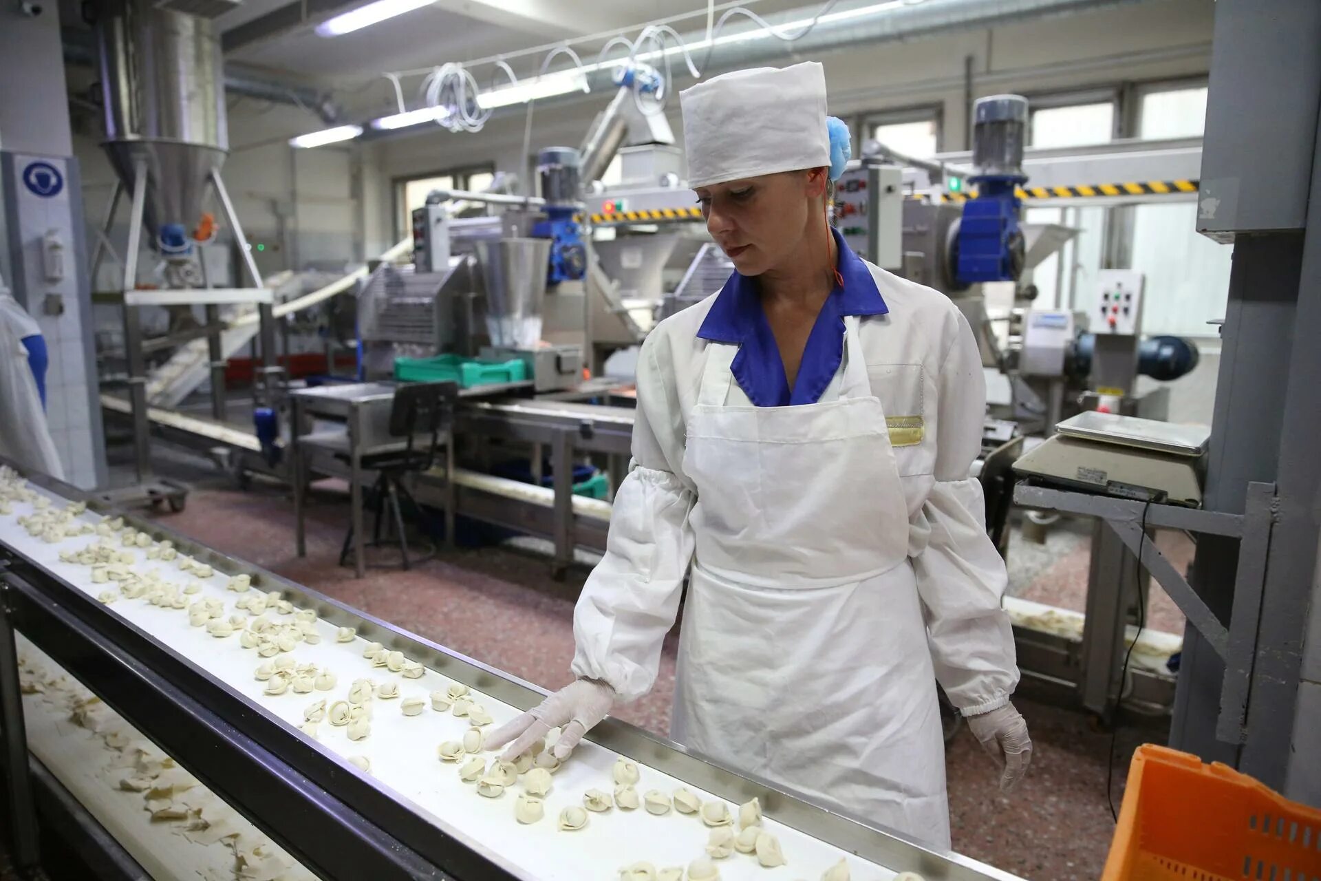 Замороженные полуфабрикаты. Склад морозко в бронницах. Директор морозко бронницы. Транслоджика бронницы отзывы сотрудников. Морозко бронницы вакансии.