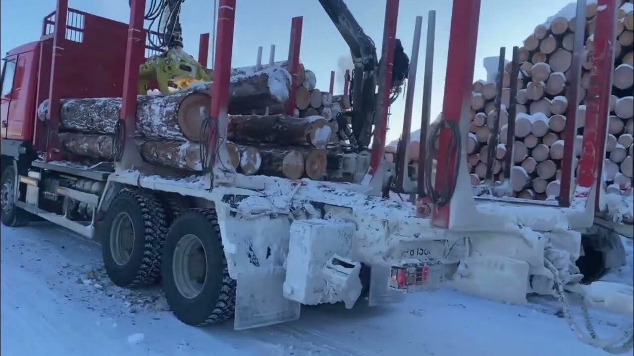 Макс Вертиго Лесовозам. Лесовозный рейс.