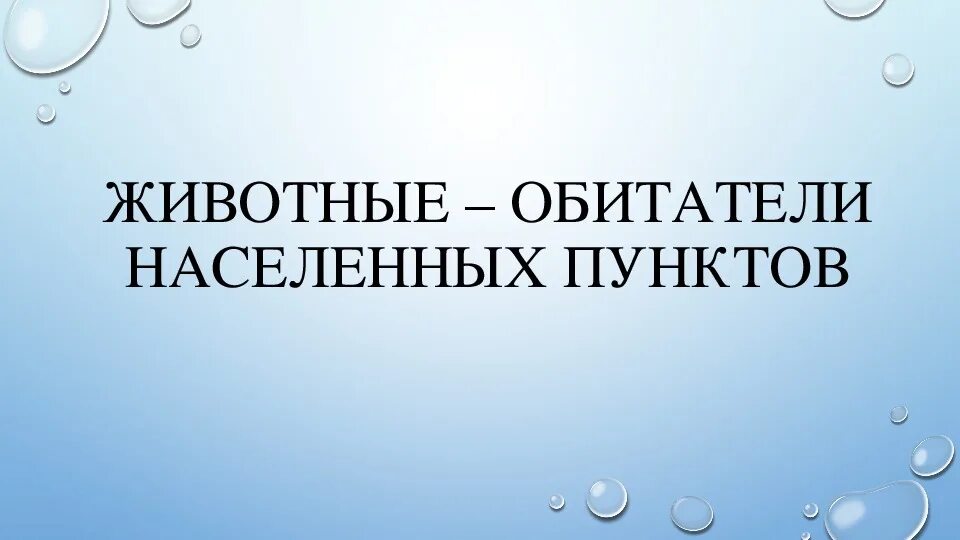 Кубановедение 6. Животные обитатели населенных пунктов. кубановедение 6 класс животные обитатели населённых пунктов. презентация по кубановедению 6 класс. проект по кубановедению животные обитатели населенных пунктов.