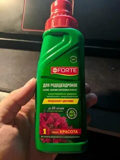 Подкормка рододендронов осенью