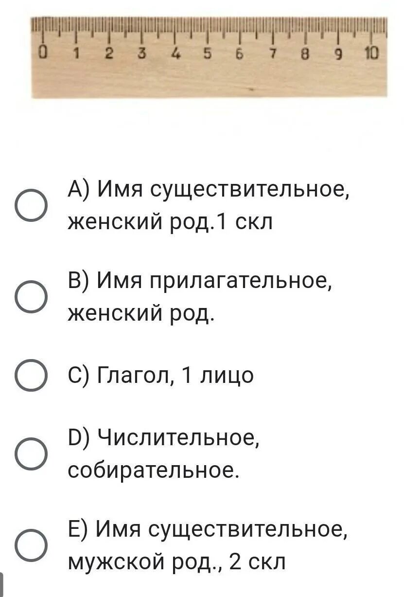 Выбери верную характеристику. Выбери верные характеристики текста. Выберите верную характеристику изображенного на фотографии. Выберите верные утверждения о цветке, изображённом на рисунке:.