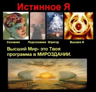 Что значит сознательная жизнь