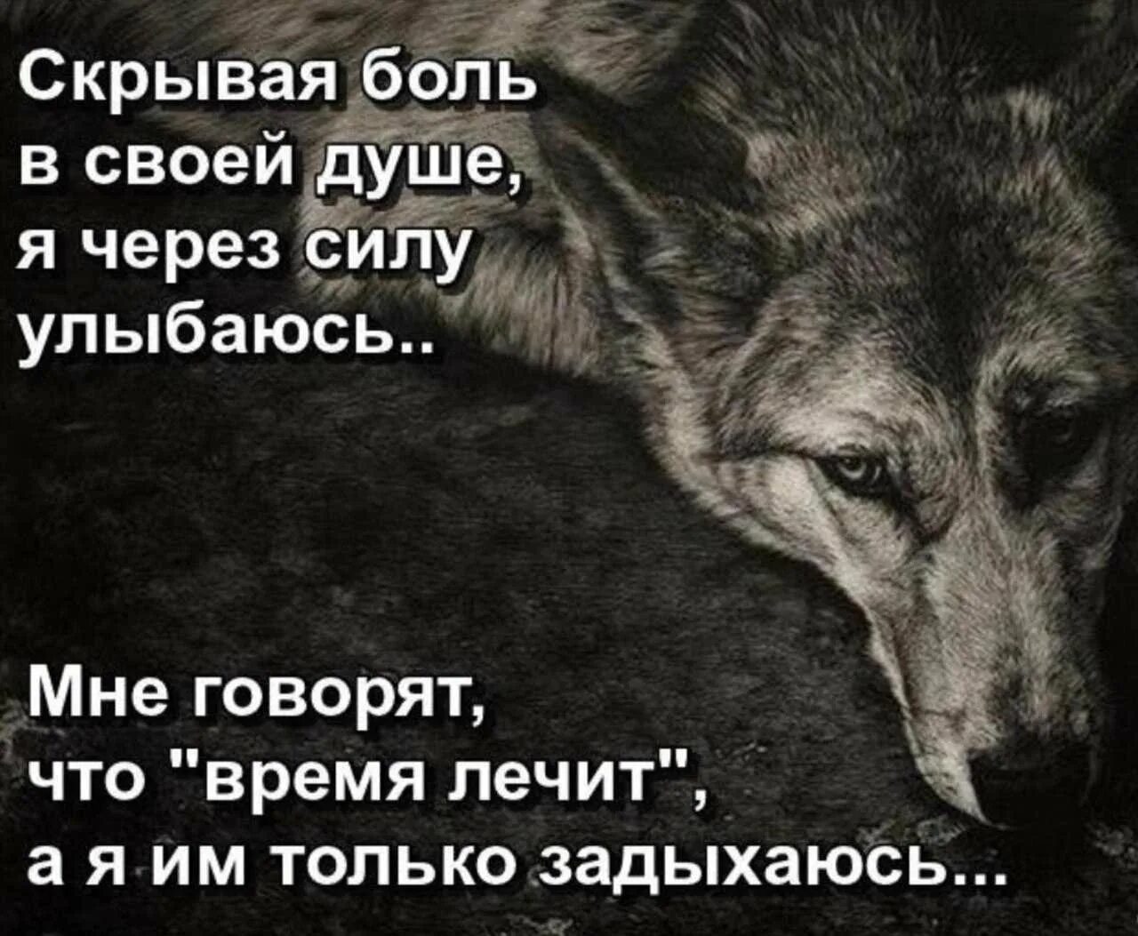 В его глазах было столько тоски