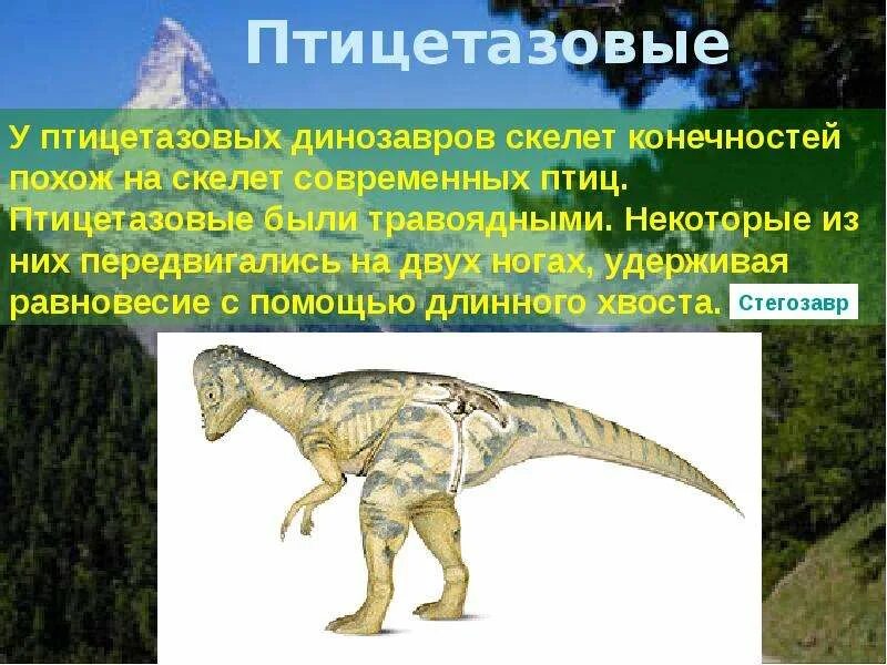 Птицы произошли от птицетазовых динозавров