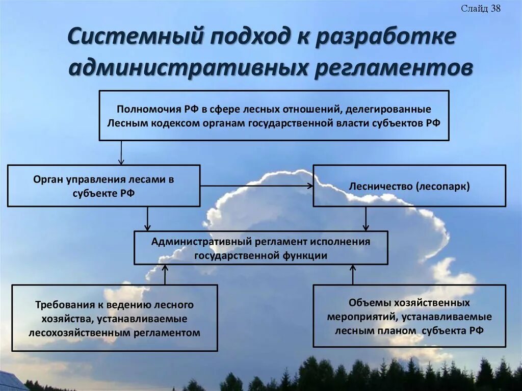 Государственное управление лесами. Система управления лесами. Органы государственного управления лесами. Система управления лесами в РФ.