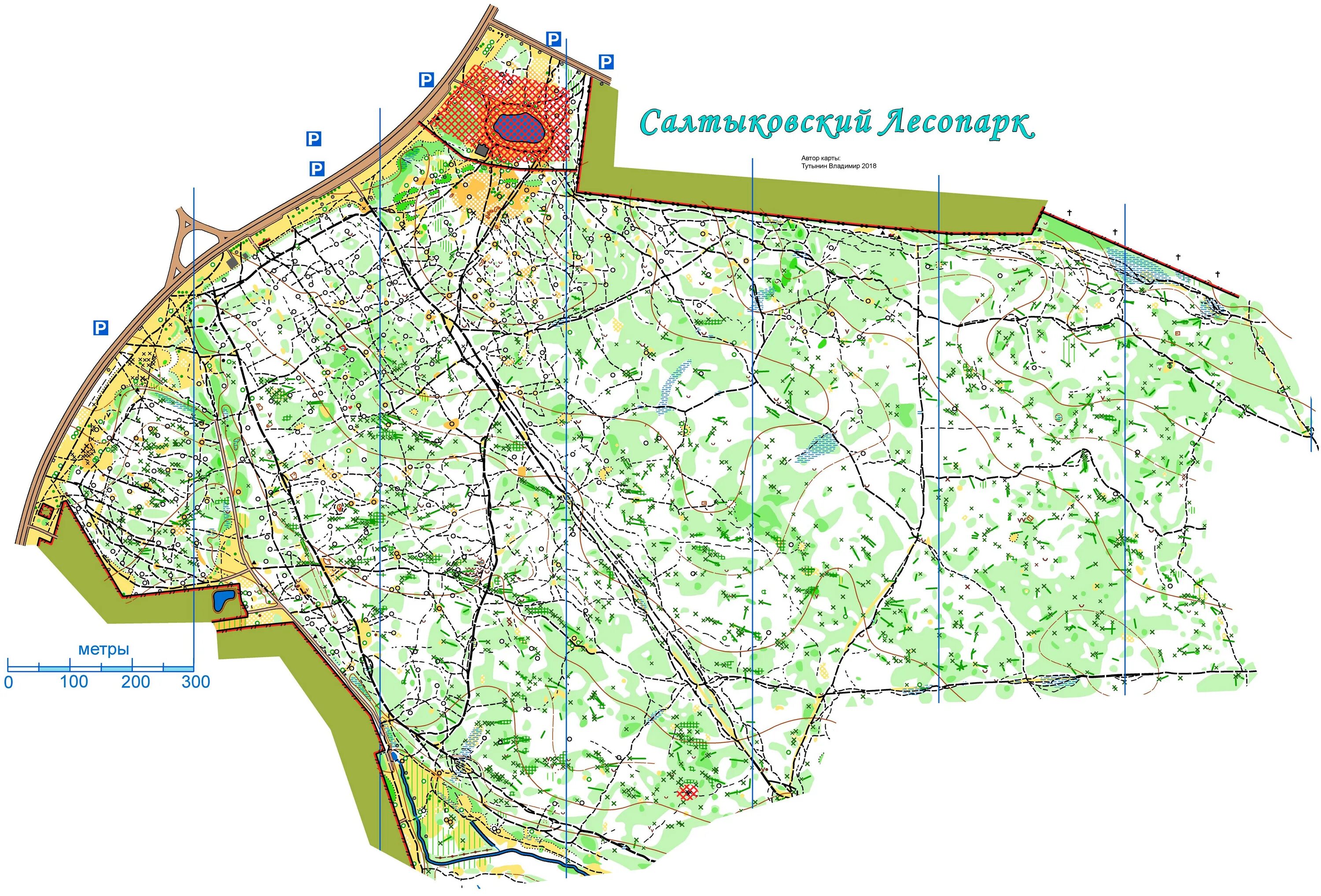 Спортивная карта. Спортивные карты Подмосковья. Карта ориентирования Москва. Спортивные карты Москвы. Спорт карта москва