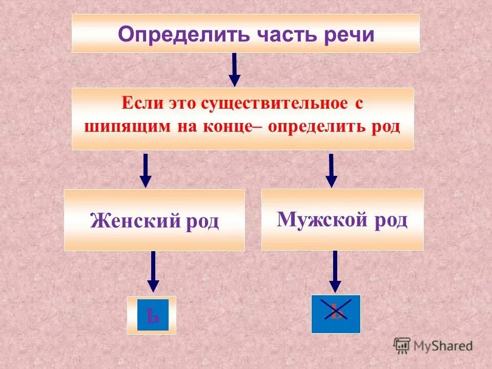 Шоссе мужской род. Речь женский род. Почему речь это женский род.