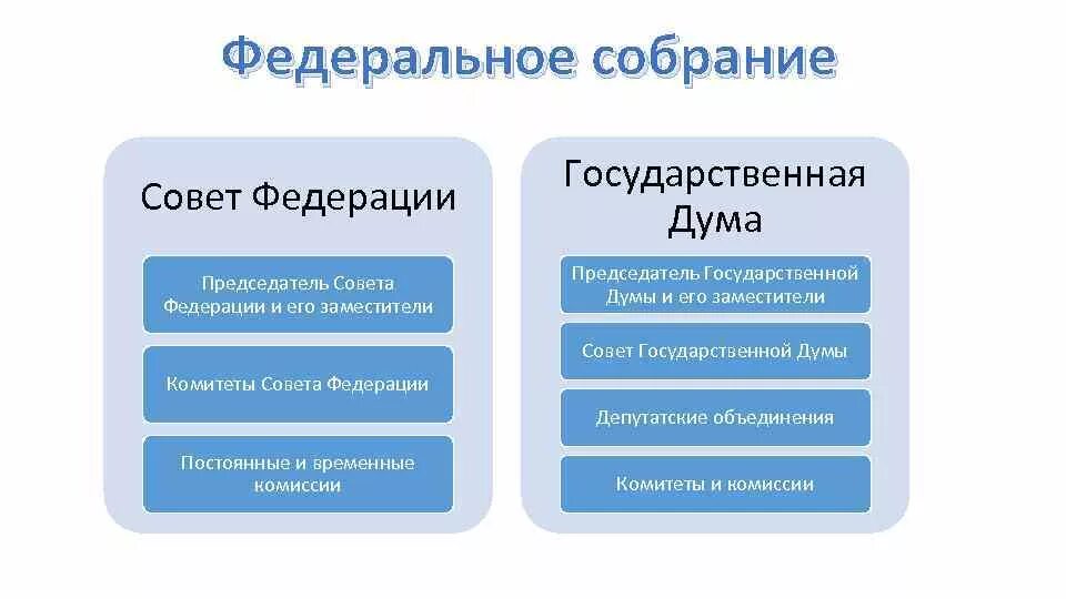 Федеральный совет рф функции. Федеральное собрание совет Федерации государственная Дума. Схема совет Федерации государственная Дума. Дума Федеральное собрание совет Федерации схема. Госдума и совет Федерации.