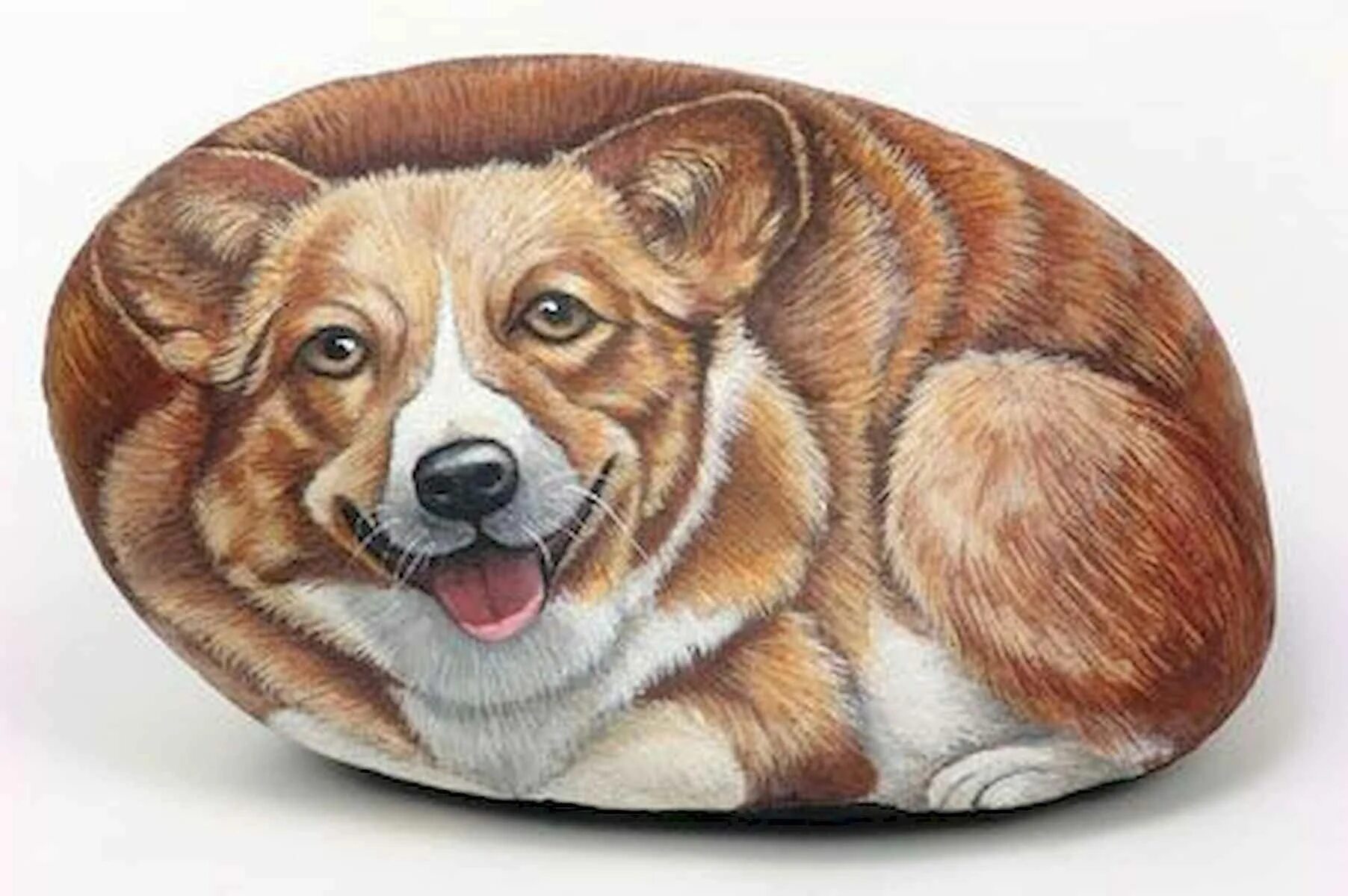 Живопись на камнях Сюзи Чуа. Роспись камней собака. Роспись на камнях животные.