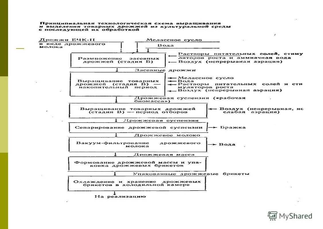введение в технологию питания