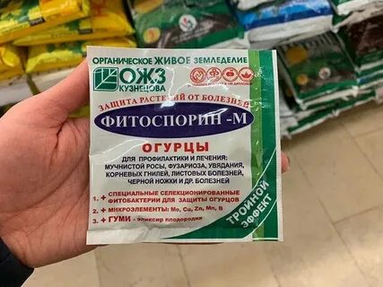 Фитоспорин обработка земли в теплице осенью